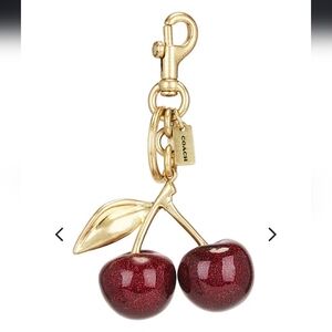 Resin Cherry Bag Charm